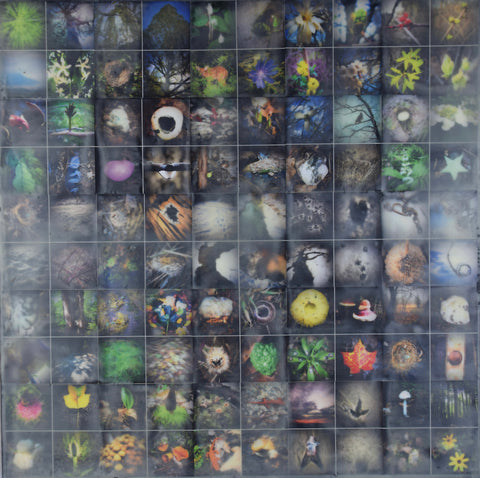 Walking Thru the Seasons, dye-sub prints under encaustic wax by Cerulean Arts Collective member Damini Celebre