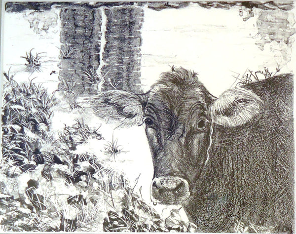 Mary Daly: Silos #4