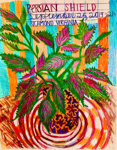 The Persian shield plant is native to tropical Myanmar, mixed media including artist-made foraged inks, printed on canvas by artist Jessica Levine. Included in the exhibition REUNION (Once Upon a Time in Philadelphia), at Cerulean Arts February 26 - March 24, 2025.