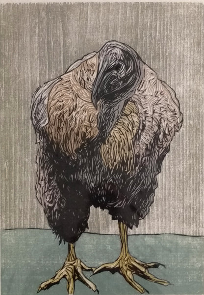 Dan Miller: Condor